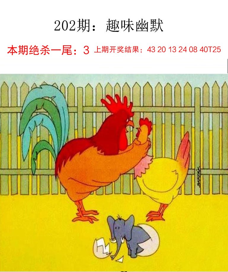 2024202期趣味幽默