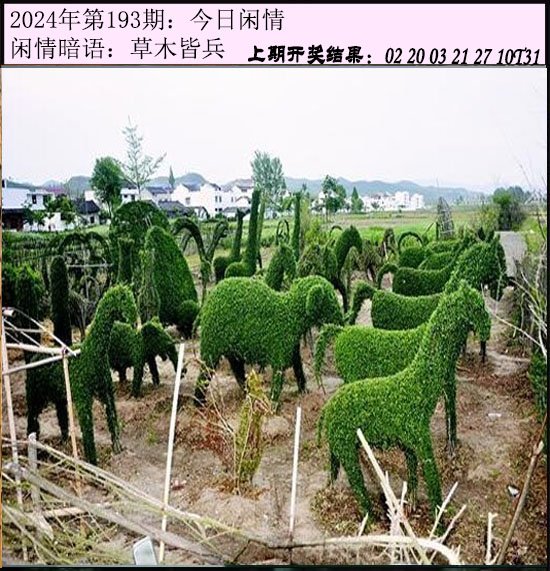 2024193期今日闲情