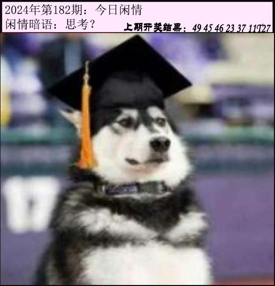 2024182期今日闲情