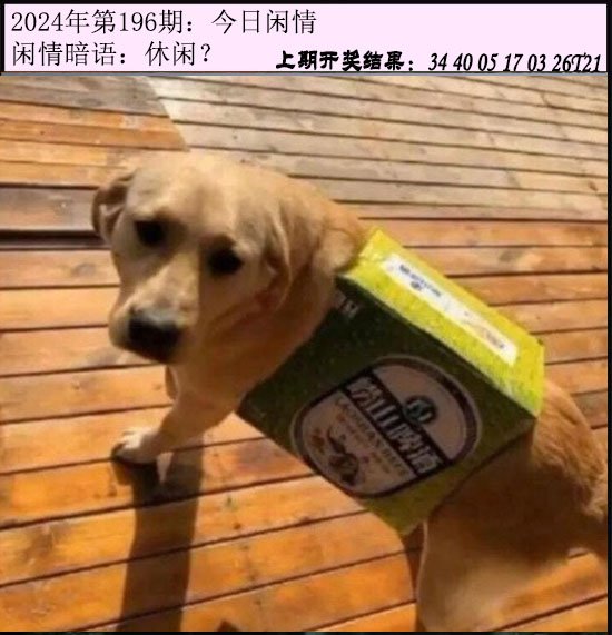 2024196期今日闲情