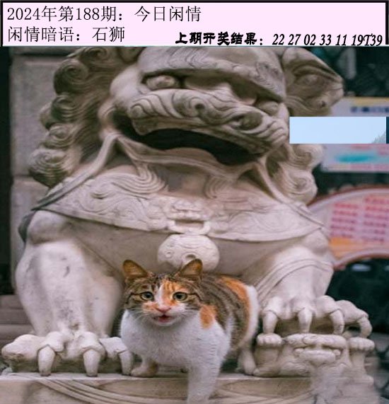 2024188期今日闲情