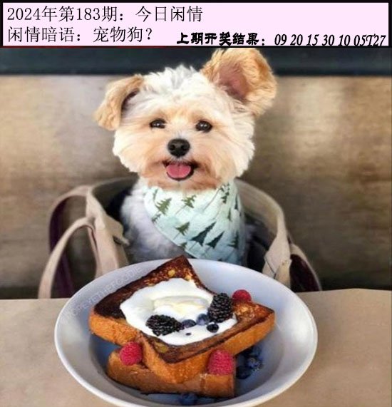 2024183期今日闲情