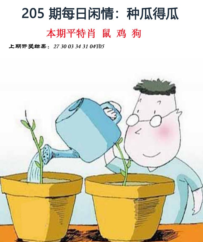 2024205期每日闲情