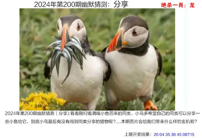 2024200期幽默猜测