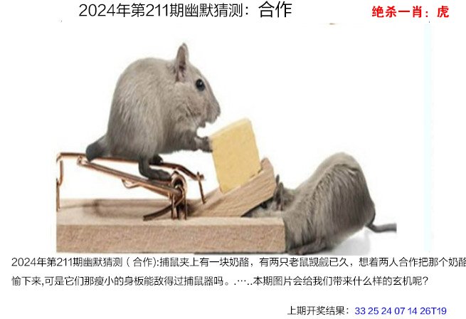 2024211期幽默猜测