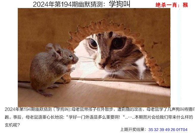 2024194期幽默猜测
