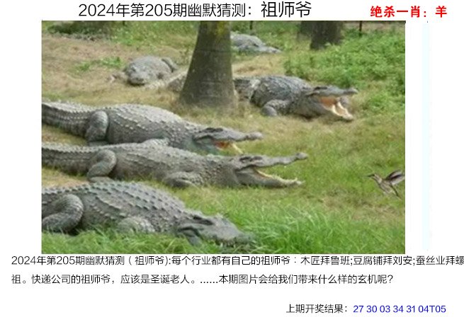 2024205期幽默猜测