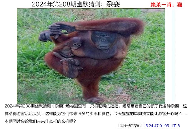 2024208期幽默猜测