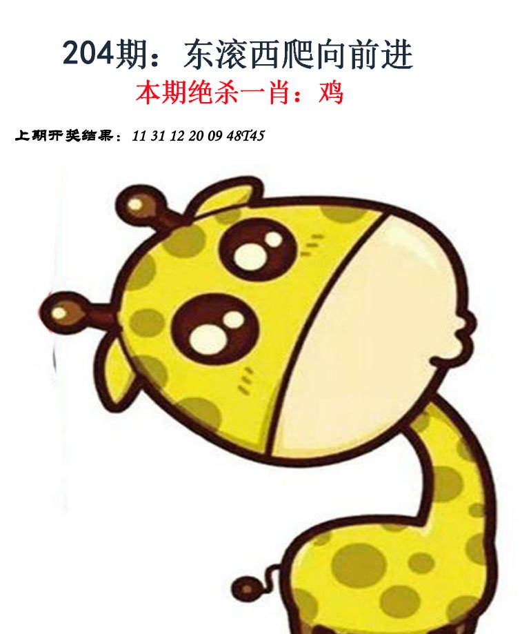 2024204期金钱豹自有真功夫