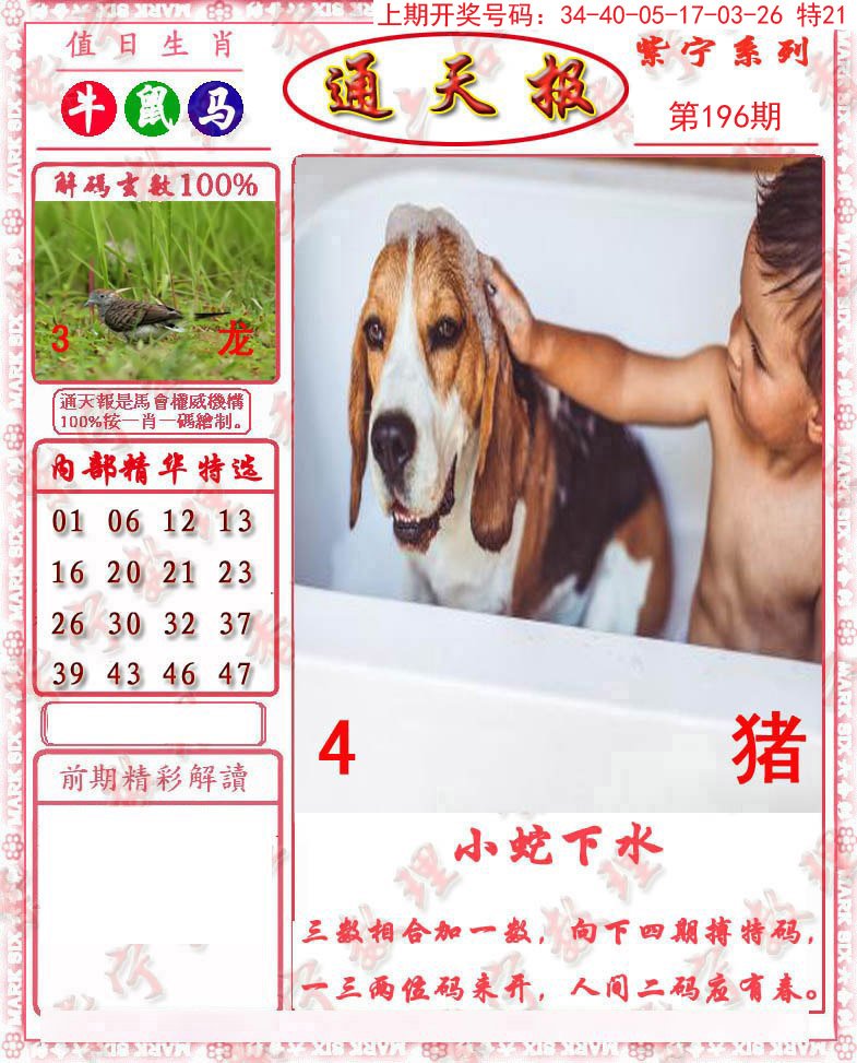2024196期救通报