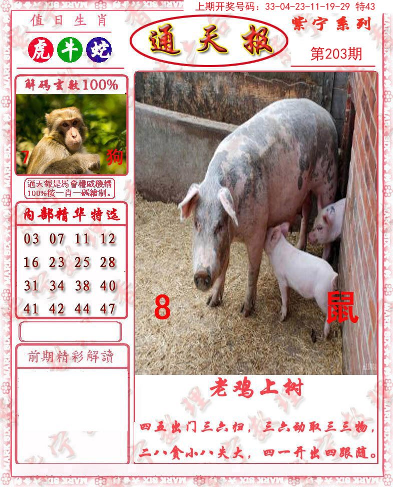 2024203期救通报