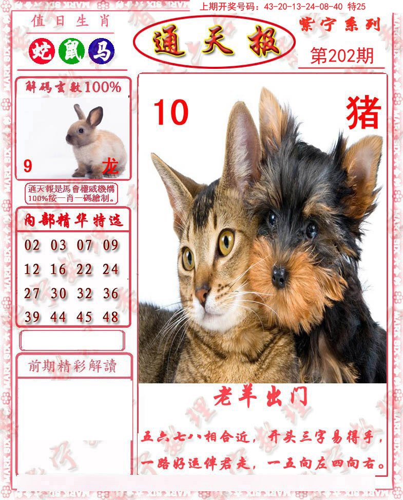 2024202期救通报