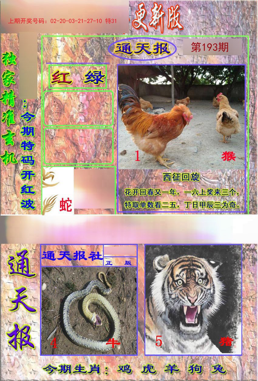 2024193期新通报