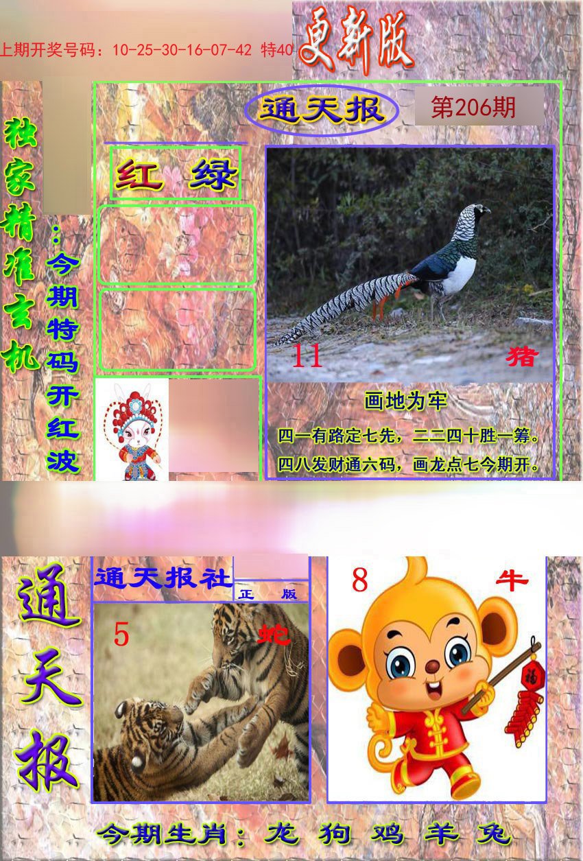 2024206期新通报