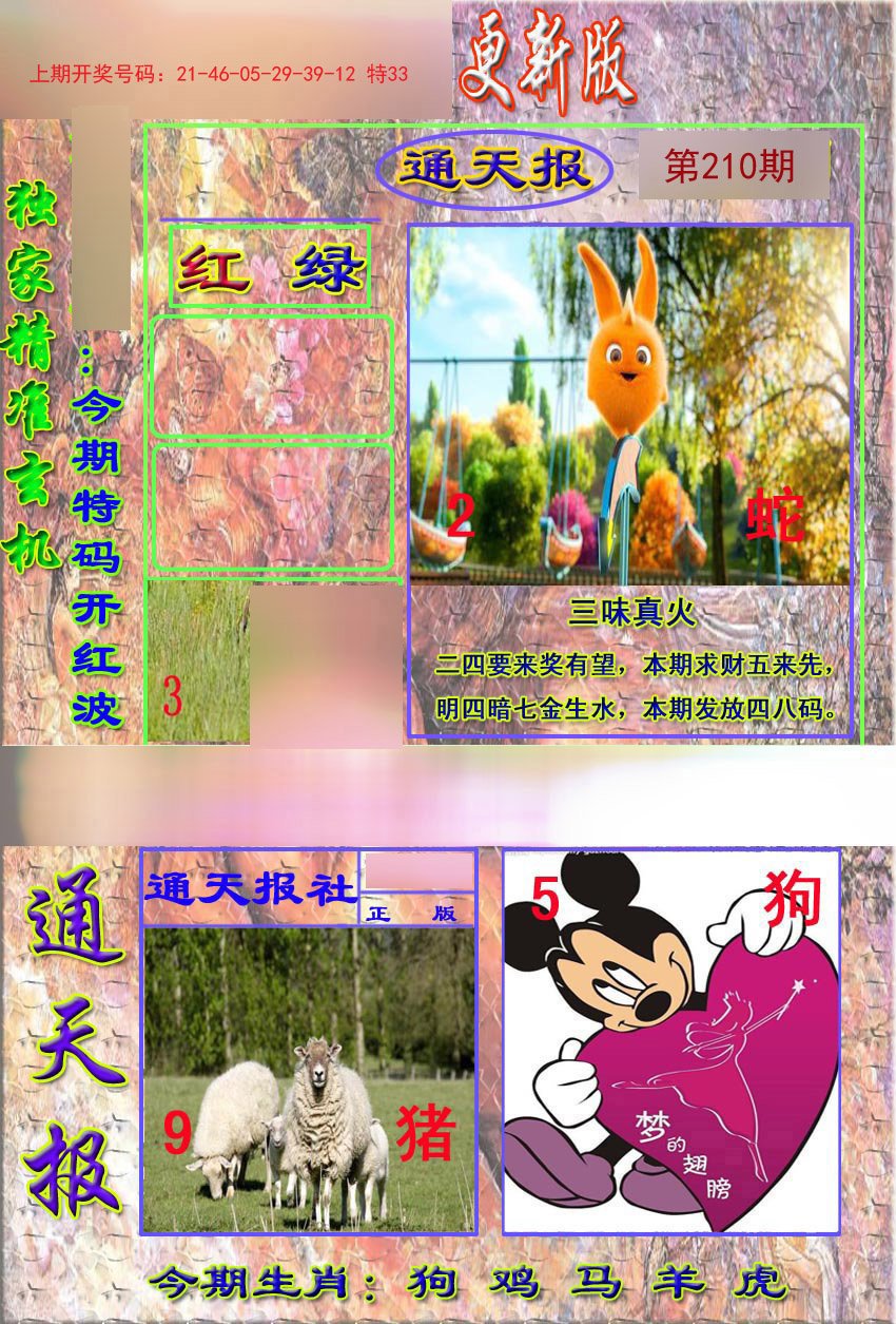 2024210期新通报