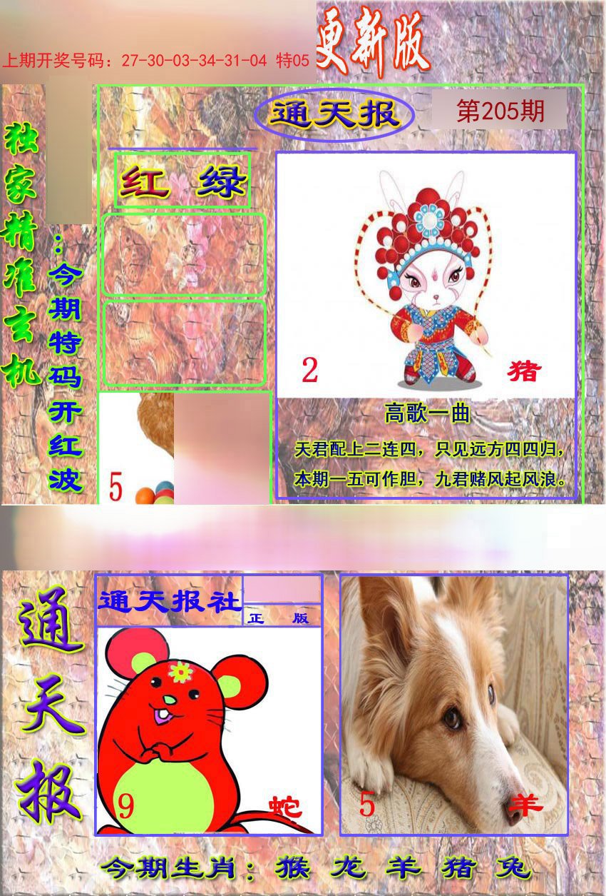 2024205期新通报