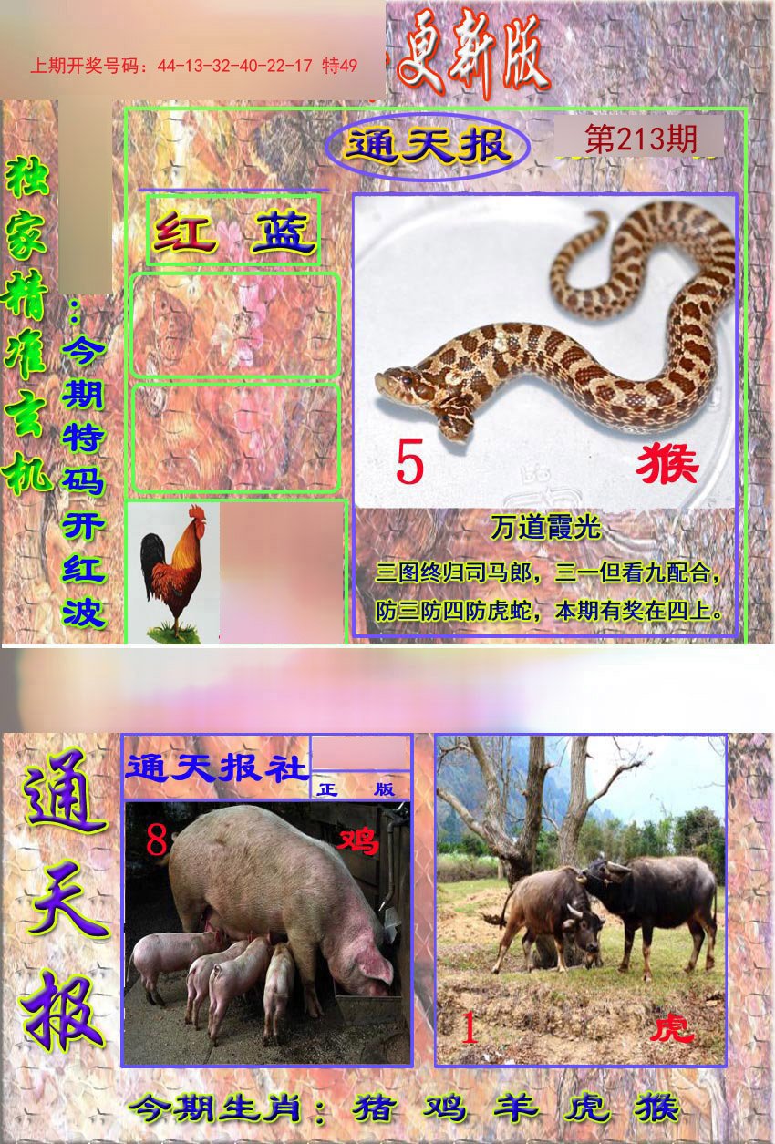 2024213期新通报
