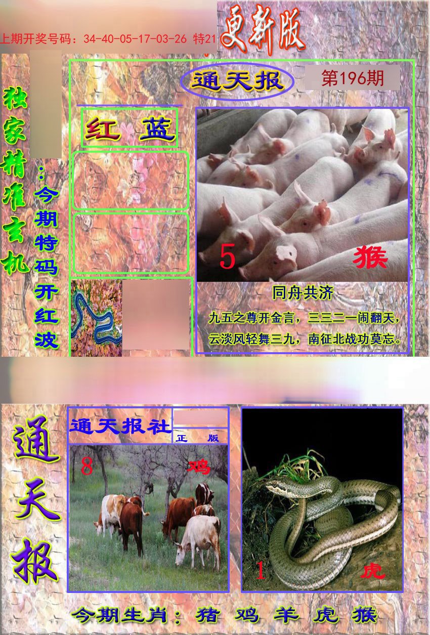 2024196期新通报