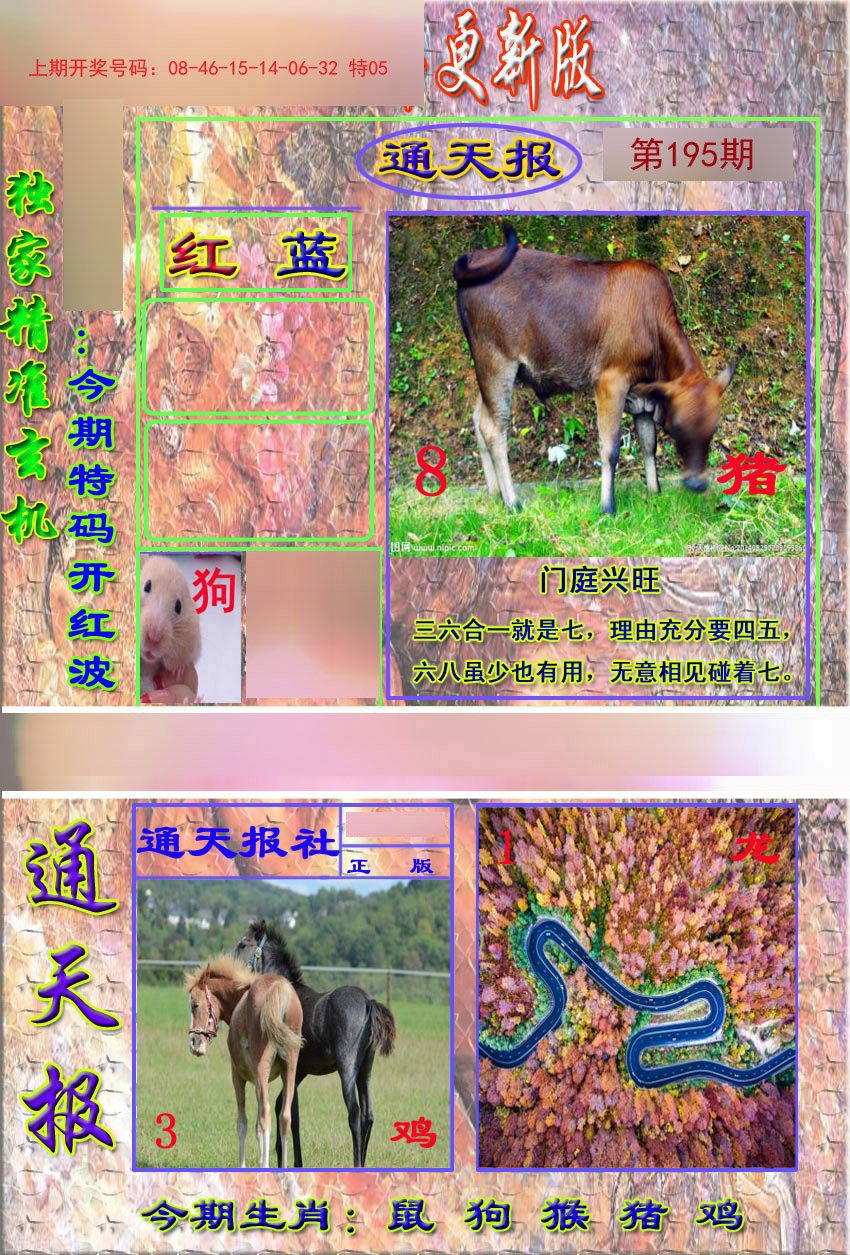 2024195期新通报