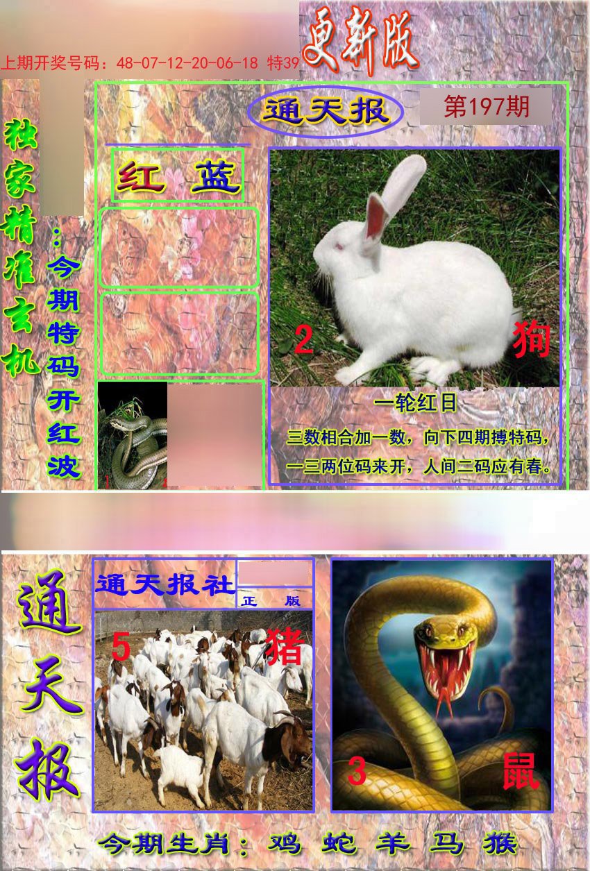 2024197期新通报