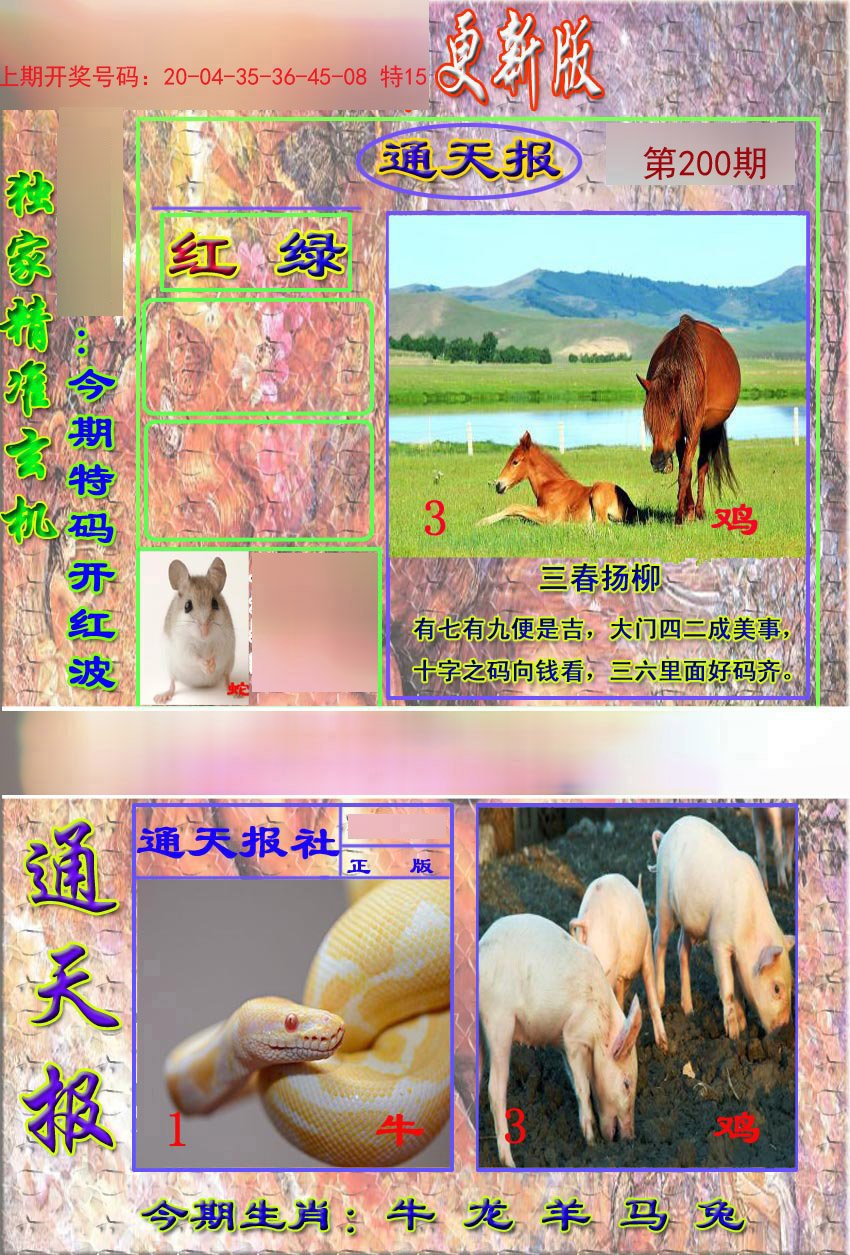 2024200期新通报