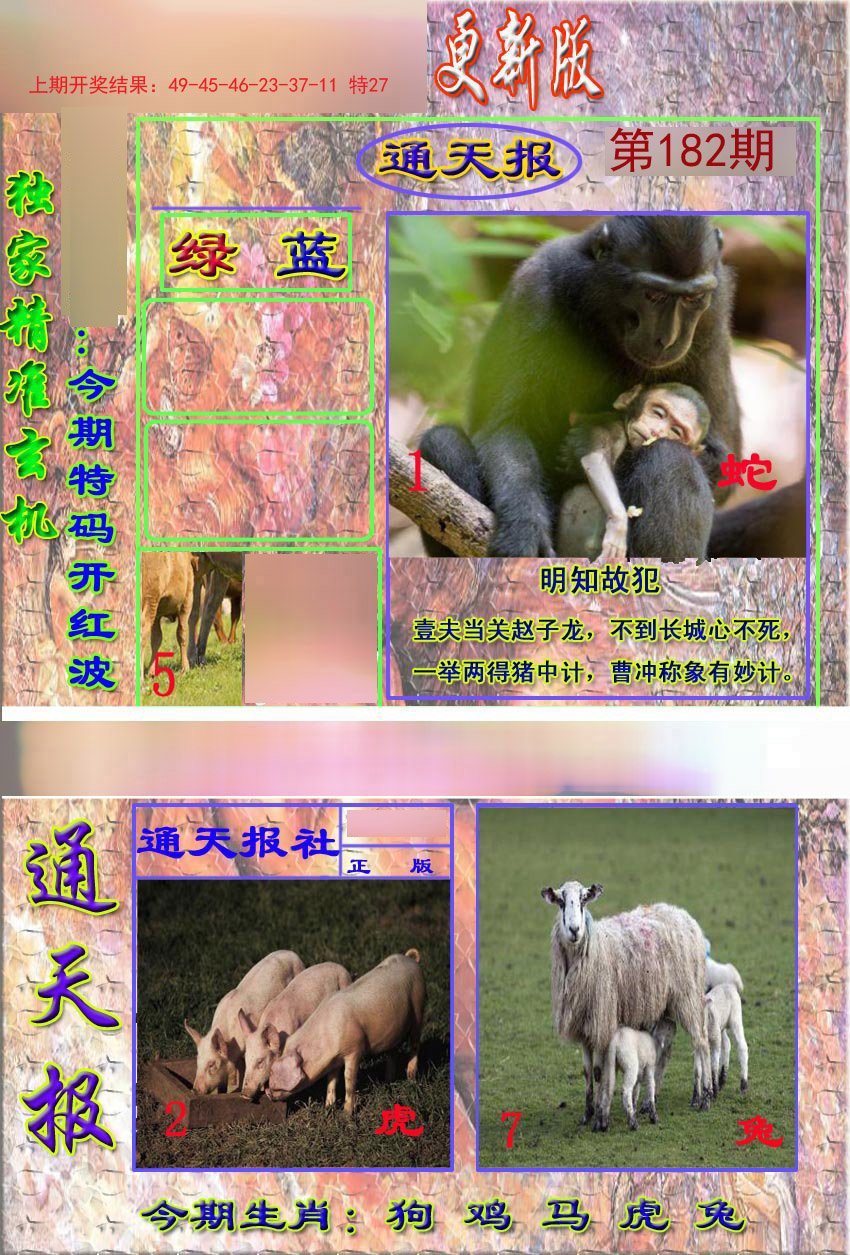 2024182期新通报