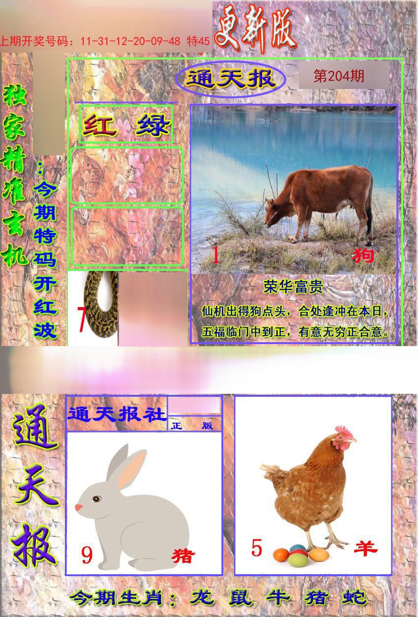 2024204期新通报