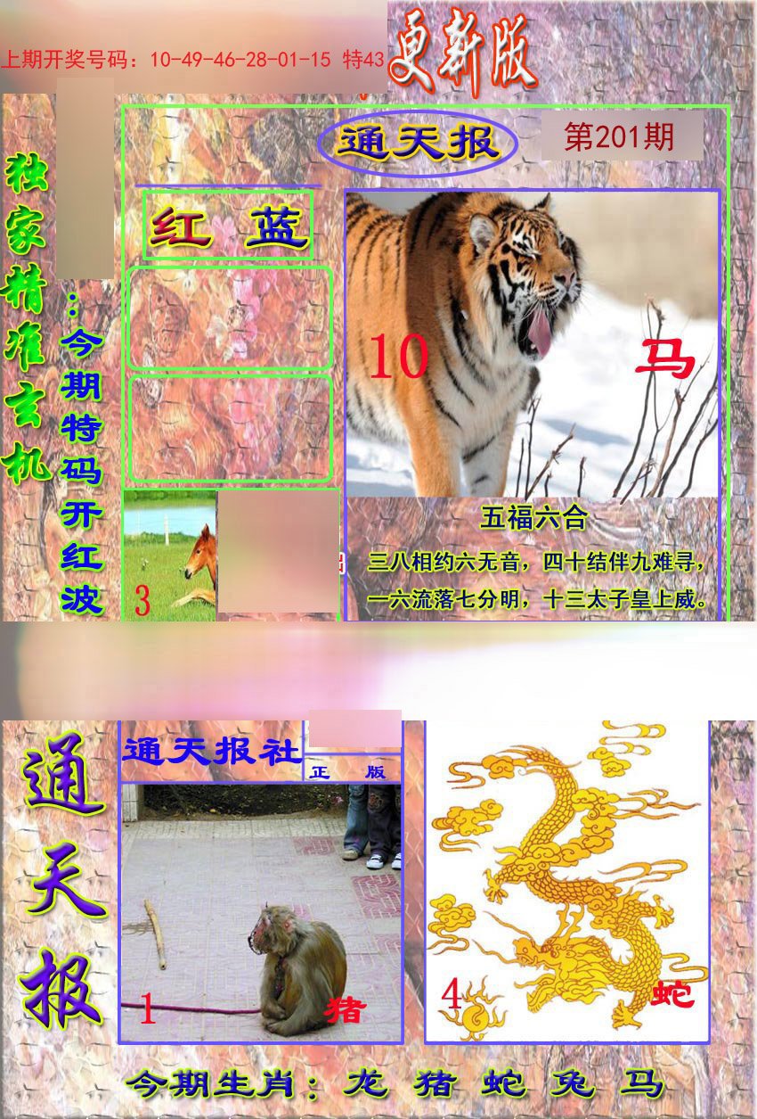 2024201期新通报