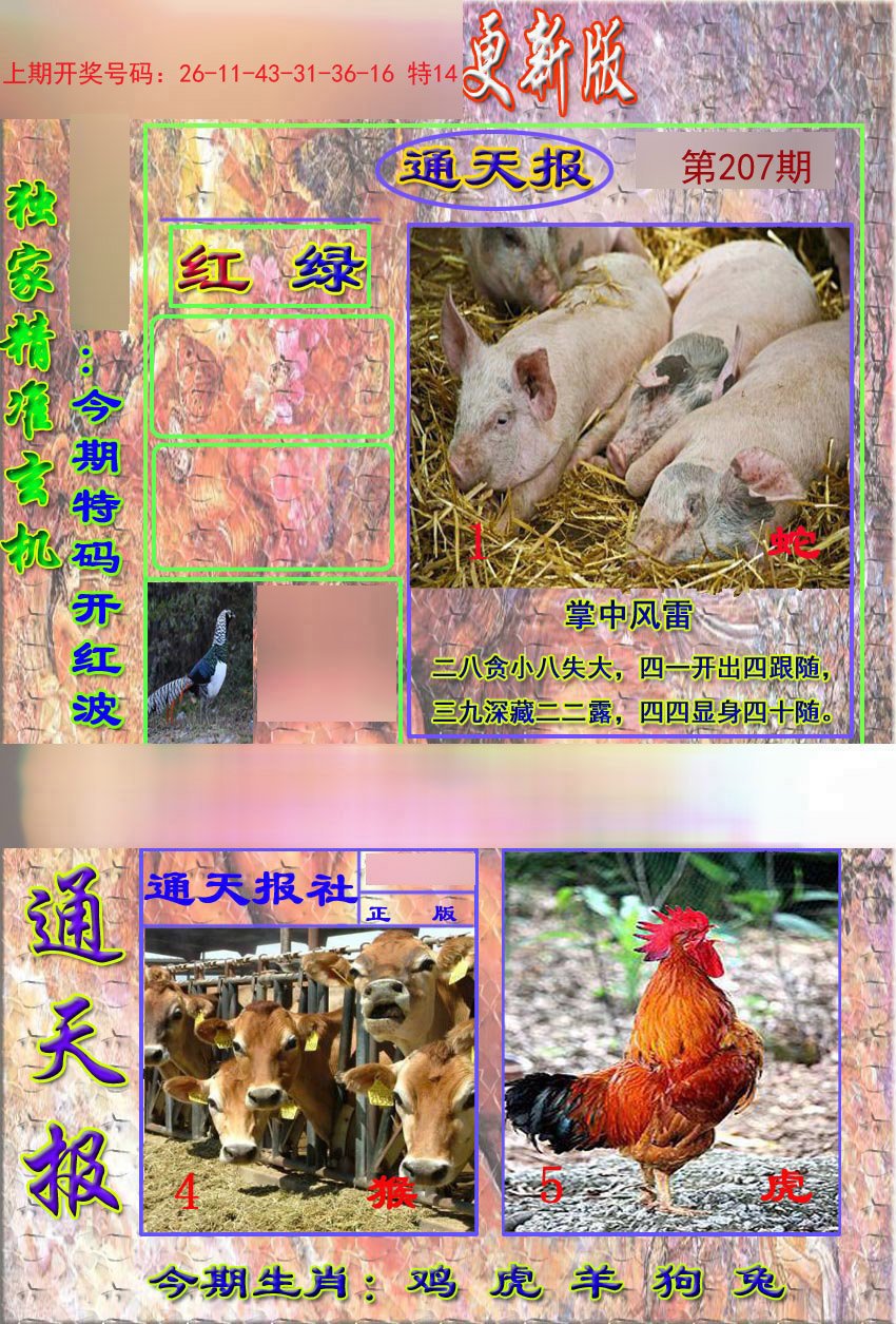 2024207期新通报