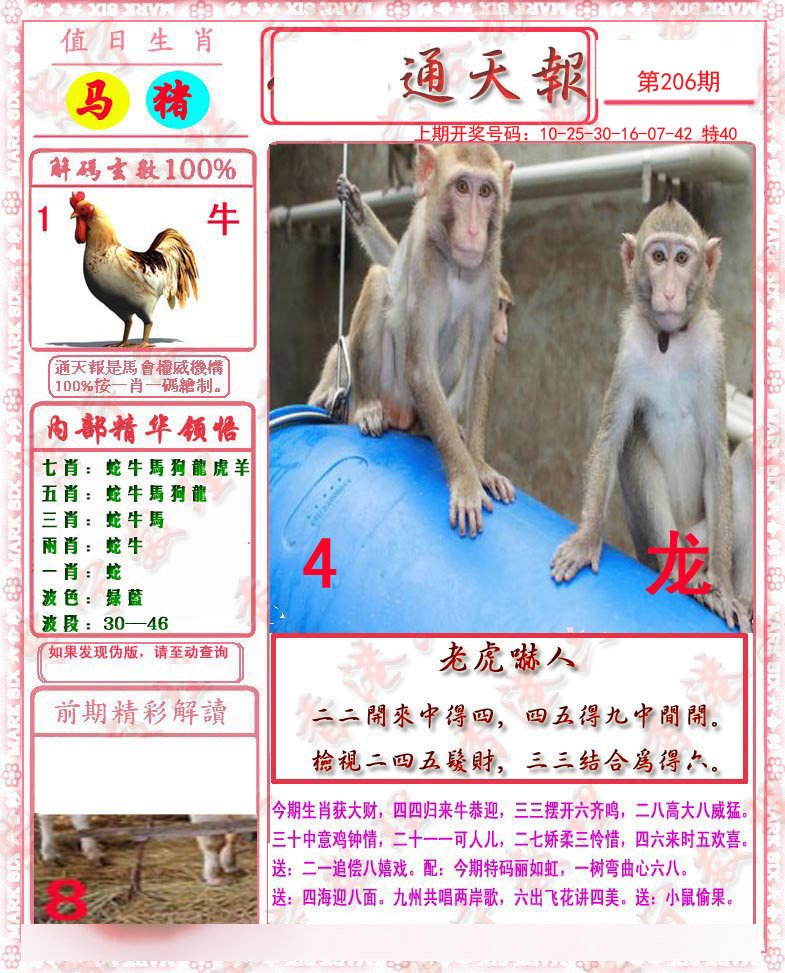 2024206期马经通天报