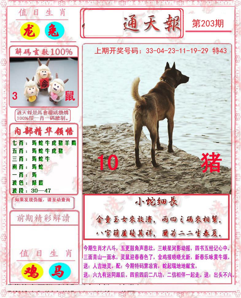 2024203期马经通天报