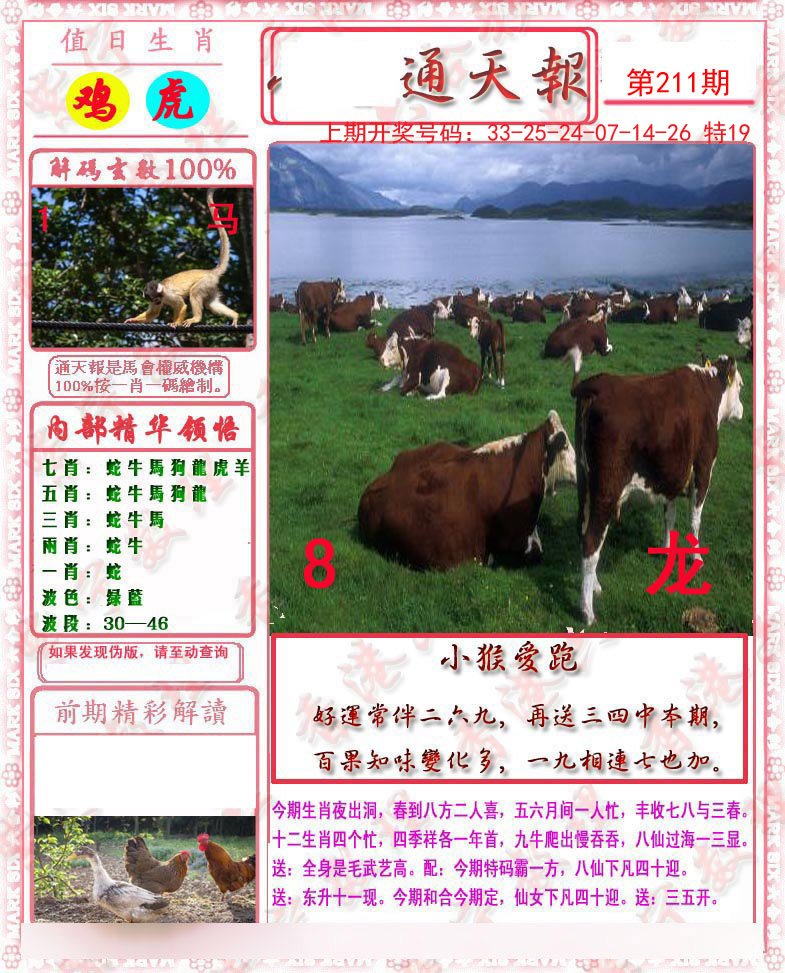 2024211期马经通天报
