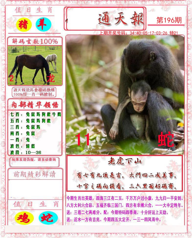 2024196期马经通天报