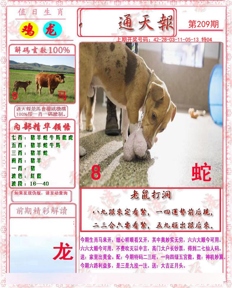 2024209期马经通天报