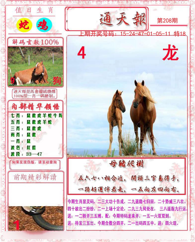 2024208期马经通天报