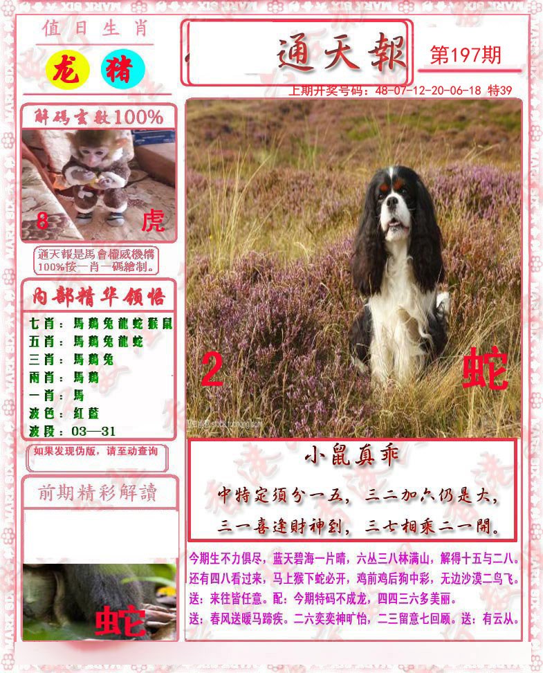 2024197期马经通天报