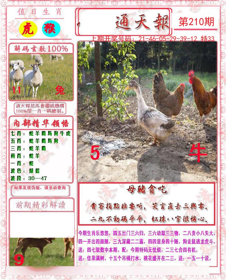 2024210期马经通天报
