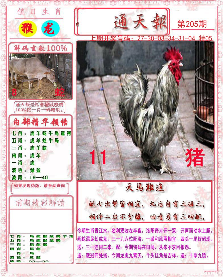 2024205期马经通天报