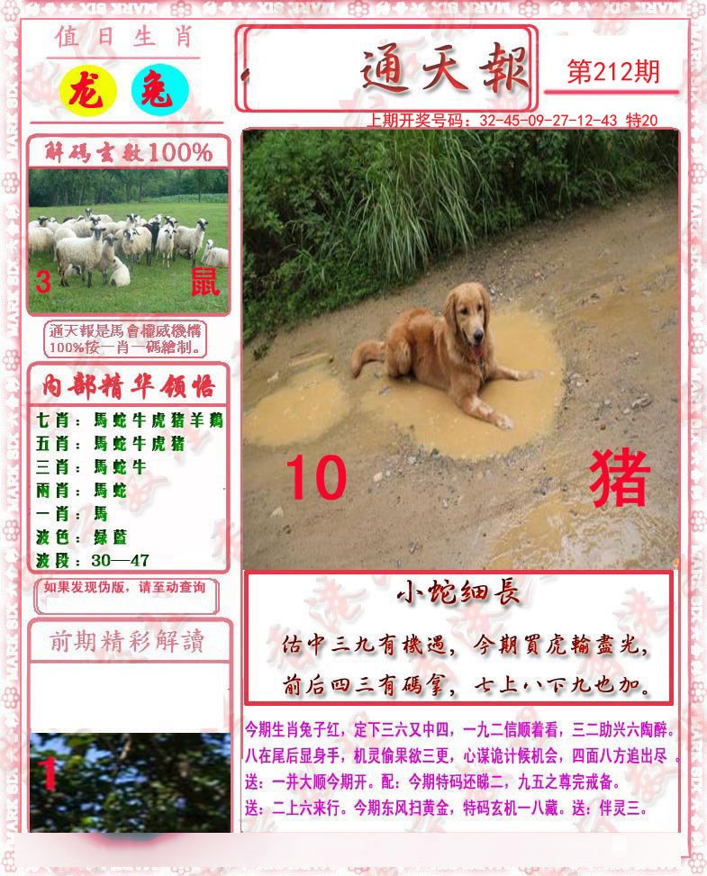 2024212期马经通天报