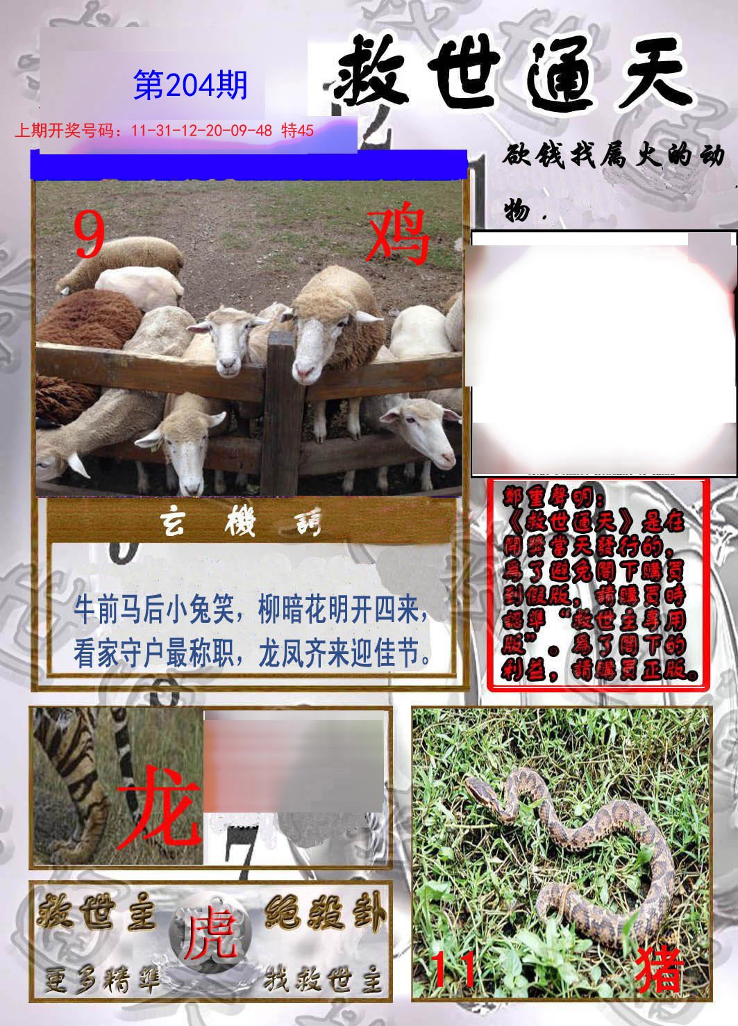 2024204期救世通天报