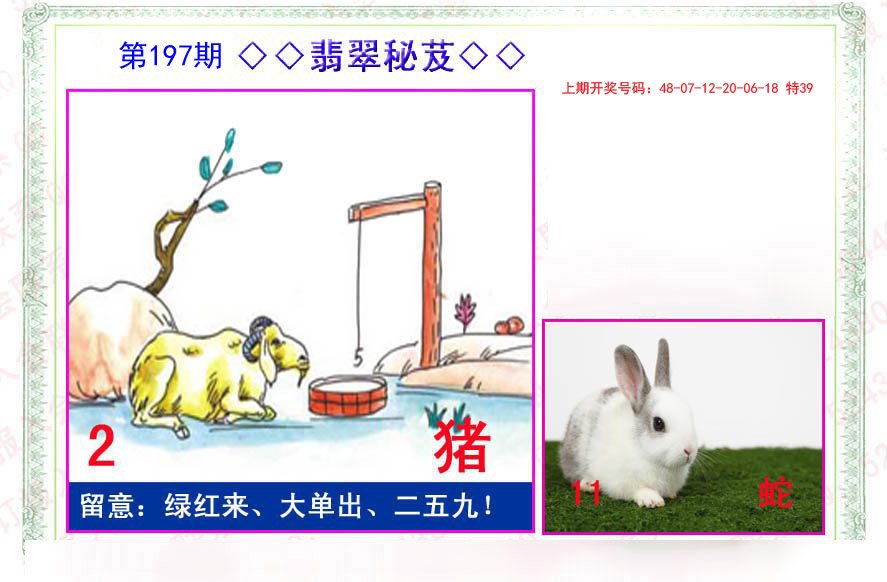 2024197期翡翠报