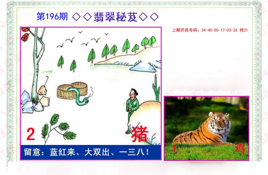 2024196期翡翠报
