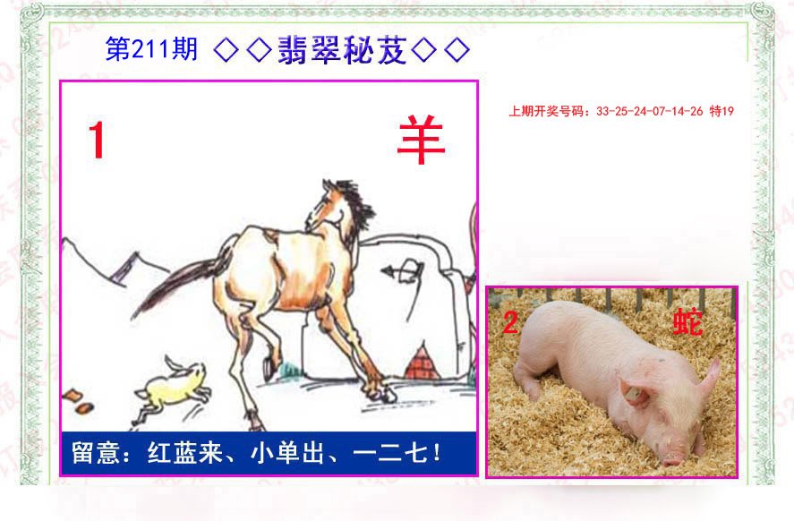 2024211期翡翠报