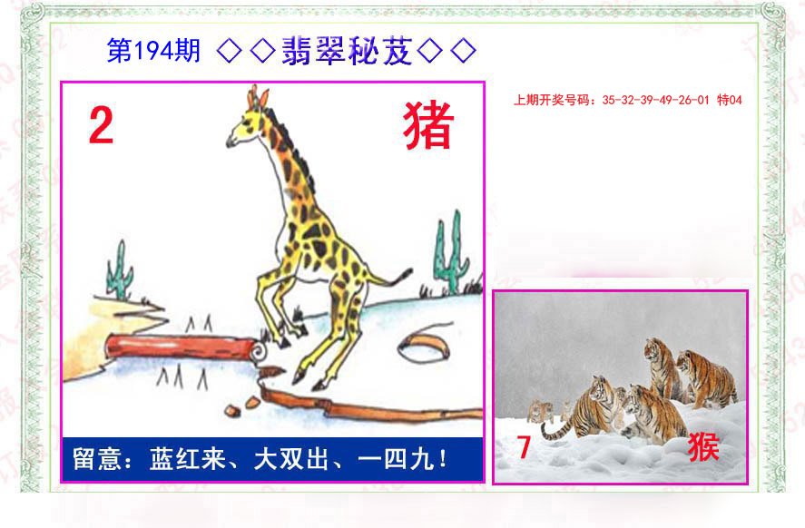 2024194期翡翠报
