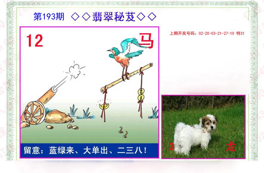 2024193期翡翠报