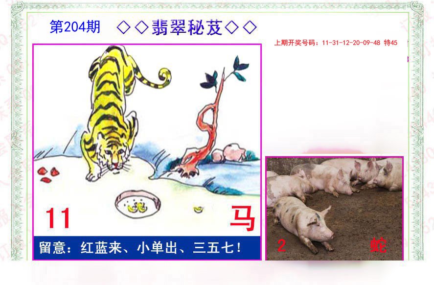 2024204期翡翠报