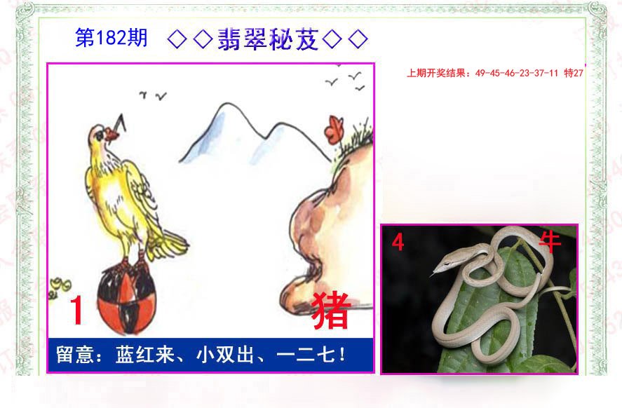 2024182期翡翠报