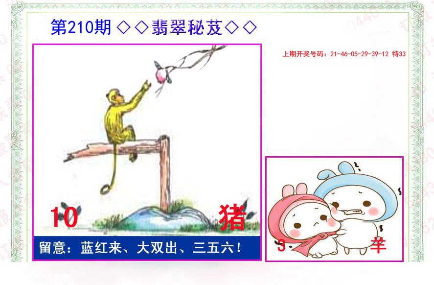 2024210期翡翠报