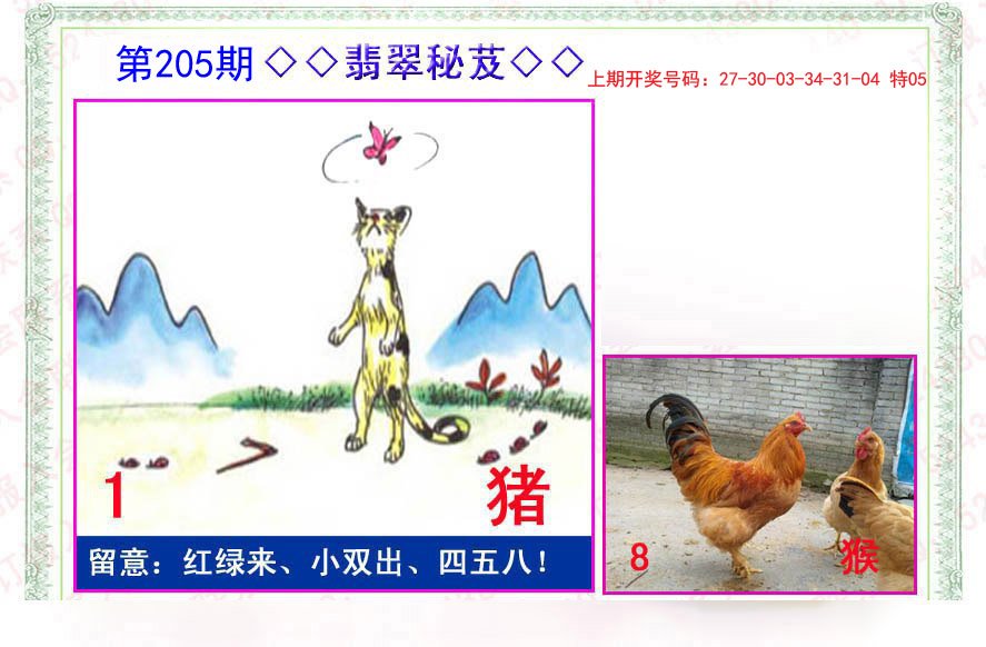 2024205期翡翠报