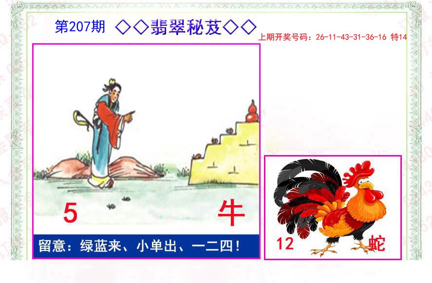 2024207期翡翠报